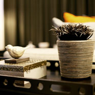 renaissance rise display - click to view